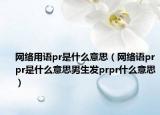 网络用语pr是什么意思（网络语prpr是什么意思男生发prpr什么意思）