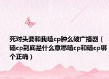 死对头要和我嗑cp肿么破广播剧（磕cp到底是什么意思嗑cp和磕cp哪个正确）