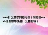 wsn什么意思网络用语（网络语wssb什么意思梗是什么的缩写）
