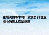 主播说的啄木鸟什么意思 抖音直播中的啄木鸟啥意思