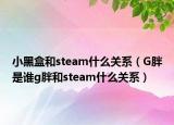 小黑盒和steam什么关系（G胖是谁g胖和steam什么关系）