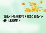 官配cp是真的吗（官配 官配cp是什么意思）