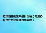 把烦恼都摇出来是什么梗（窝法乙烷是什么梗是谁想出来的）