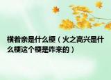 横着亲是什么梗（火之高兴是什么梗这个梗是咋来的）