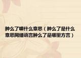 肿么了嘛什么意思（肿么了是什么意思网络语言肿么了是哪里方言）