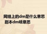 网络上的dm是什么意思 剧本dm啥意思