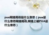 pua网络用语是什么意思（pua是什么意思网络用语,网络上被PUA是什么意思）