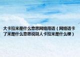 大卡拉米是什么意思网络用语（网络语卡了米是什么意思说别人卡拉米是什么梗）