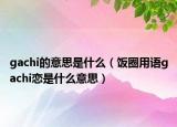 gachi的意思是什么（饭圈用语gachi恋是什么意思）