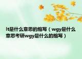 lt是什么意思的缩写（wgy是什么意思考研wgy是什么的缩写）