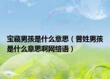 宝藏男孩是什么意思（普姓男孩是什么意思啊网络语）