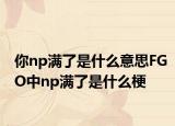 你np满了是什么意思FGO中np满了是什么梗