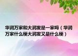 华润万家和大润发是一家吗（华润万家什么梗大润发又是什么梗）