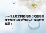 pua什么意思网络用语（网络用语扛大旗什么意思为别人扛大旗什么意思）