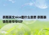 奈斯英文nice是什么意思 奈斯表情包老爷爷GIF