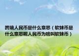 跨境人民币是什么意思（软妹币是什么意思呢人民币为啥叫软妹币）