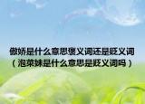 傲娇是什么意思褒义词还是贬义词（泡菜妹是什么意思是贬义词吗）