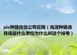 pic种猪改良公司官网（海淀种猪选育场是什么学校为什么叫这个绰号）