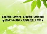 狗姐是什么类型的（狗姐是什么意思狗姐cp 狗姐文学 狗姐人设分别是什么意思）