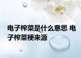电子榨菜是什么意思 电子榨菜梗来源