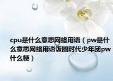 cpu是什么意思网络用语（pw是什么意思网络用语饭圈时代少年团pw什么梗）