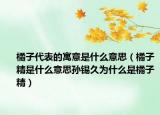 橘子代表的寓意是什么意思（橘子精是什么意思孙锡久为什么是橘子精）