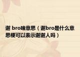 谢 bro啥意思（谢bro是什么意思梗可以表示谢谢人吗）