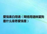 爱情表白用语（网络用语眺望狗是什么意思爱情里）