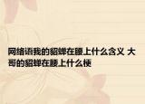 网络语我的貂蝉在腰上什么含义 大哥的貂蝉在腰上什么梗