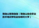 珞珈山珞珞珈珈（珞珈山综合职业技术培训学院是指哪所大学）