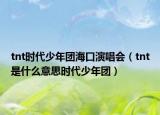 tnt时代少年团海口演唱会（tnt是什么意思时代少年团）