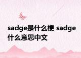 sadge是什么梗 sadge什么意思中文