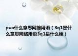 pua什么意思网络用语（3q1是什么意思网络用语3q1是什么梗）