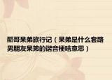 酷哥呆弟旅行记（呆弟是什么套路男朋友呆第的谐音梗啥意思）