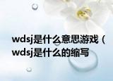 wdsj是什么意思游戏（wdsj是什么的缩写