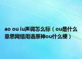 ao ou iu声调怎么标（ou是什么意思网络用语原神ou什么梗）