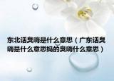 东北话臭嗨是什么意思（广东话臭嗨是什么意思妈的臭嗨什么意思）