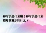 祁厅长是什么梗（祁厅长是什么梗专属音乐叫什么）
