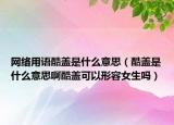 网络用语酷盖是什么意思（酷盖是什么意思啊酷盖可以形容女生吗）