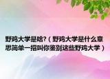 野鸡大学是啥?（野鸡大学是什么意思简单一招叫你鉴别这些野鸡大学）