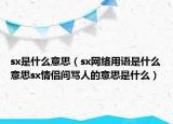 sx是什么意思（sx网络用语是什么意思sx情侣间骂人的意思是什么）