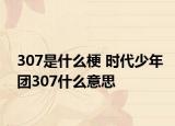 307是什么梗 时代少年团307什么意思