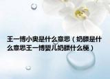 王一博小奥是什么意思（奶膘是什么意思王一博婴儿奶膘什么梗）