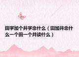 田字加个井字念什么（田加井念什么一个田一个井读什么）