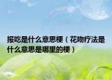报吃是什么意思梗（花吻疗法是什么意思是哪里的梗）