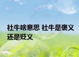 社牛啥意思 社牛是褒义还是贬义