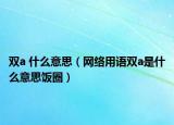 双a 什么意思（网络用语双a是什么意思饭圈）