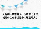 大聪明一般形容人什么意思（大聪明是什么意思哦是夸人还是骂人）