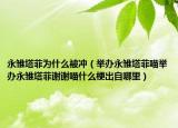 永雏塔菲为什么被冲（举办永雏塔菲喵举办永雏塔菲谢谢喵什么梗出自哪里）