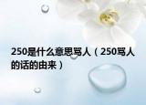 250是什么意思骂人（250骂人的话的由来）